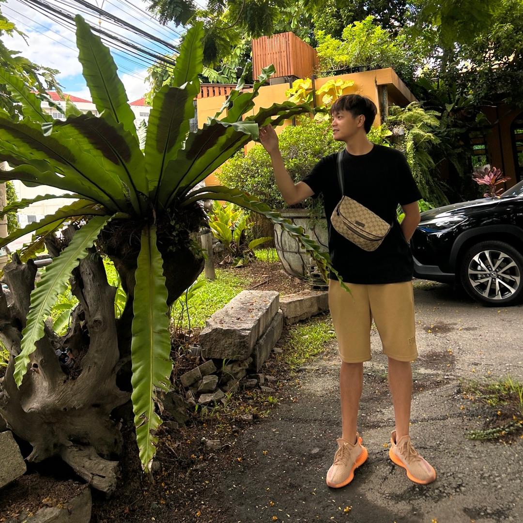 卖花的阿威