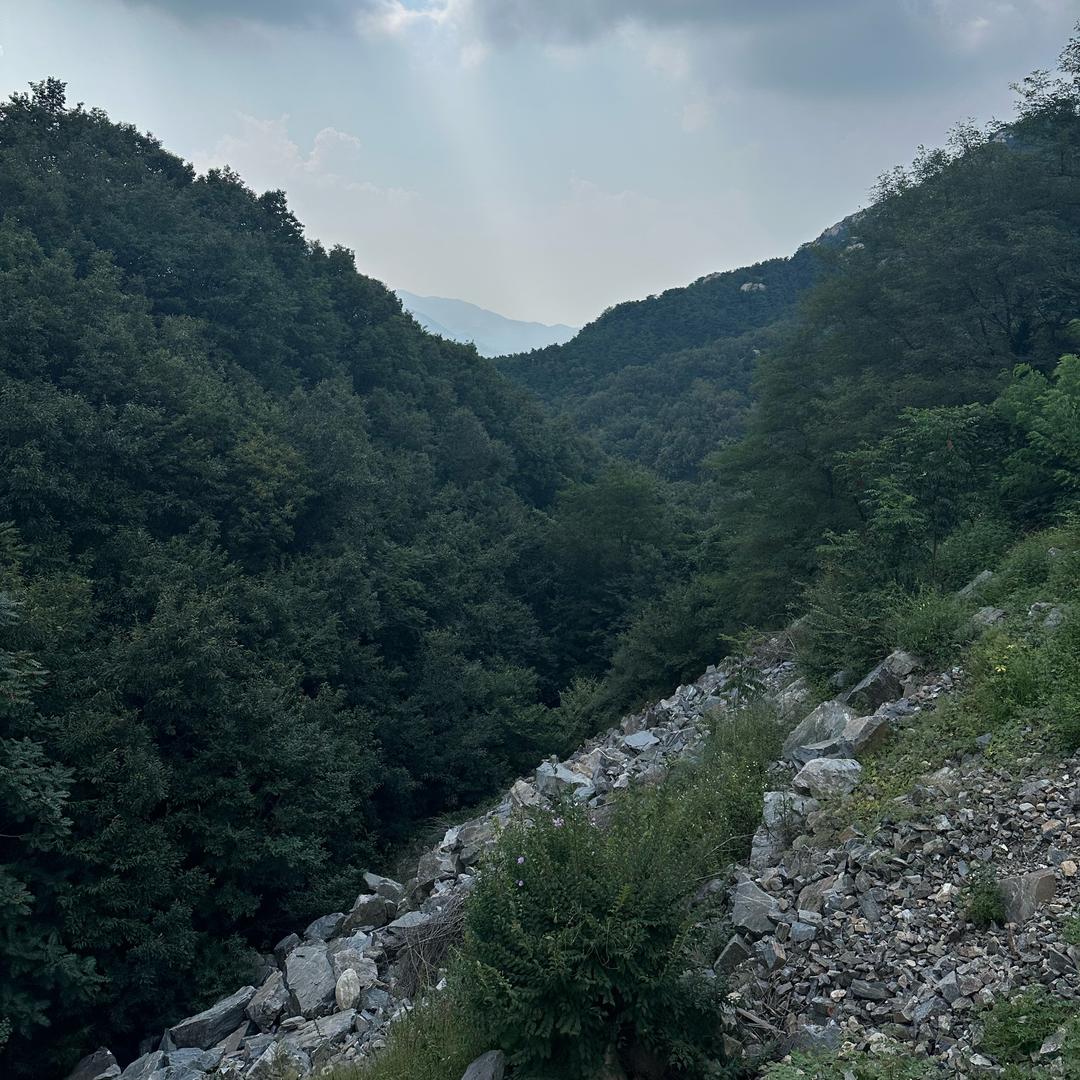 站在对面看自己