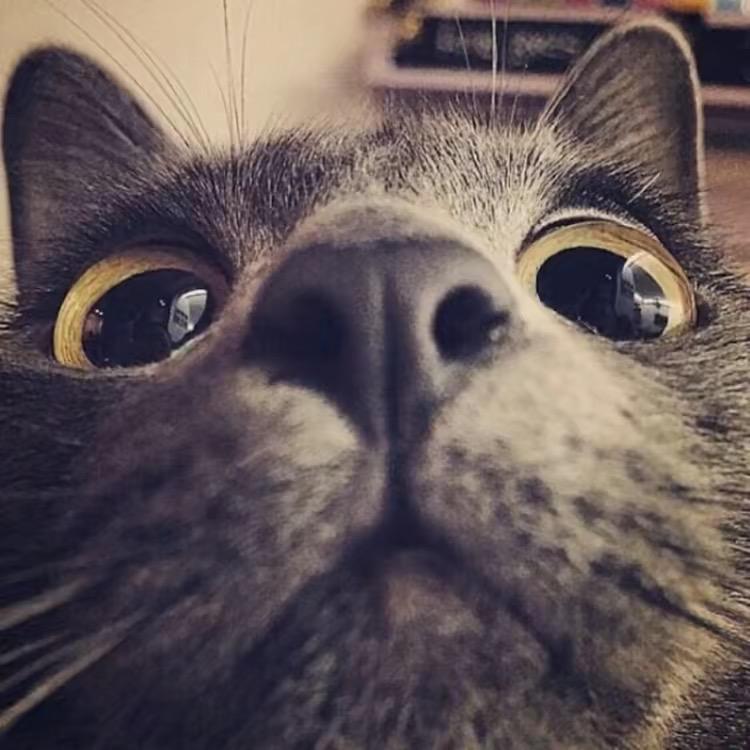！