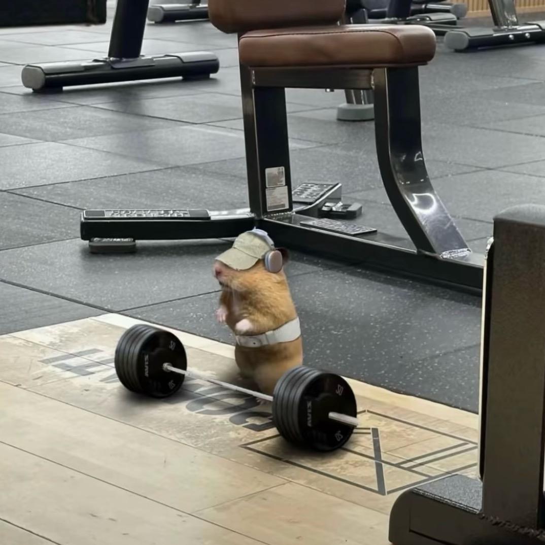 不会胖的土拨鼠