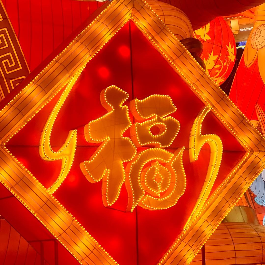 金丝猴