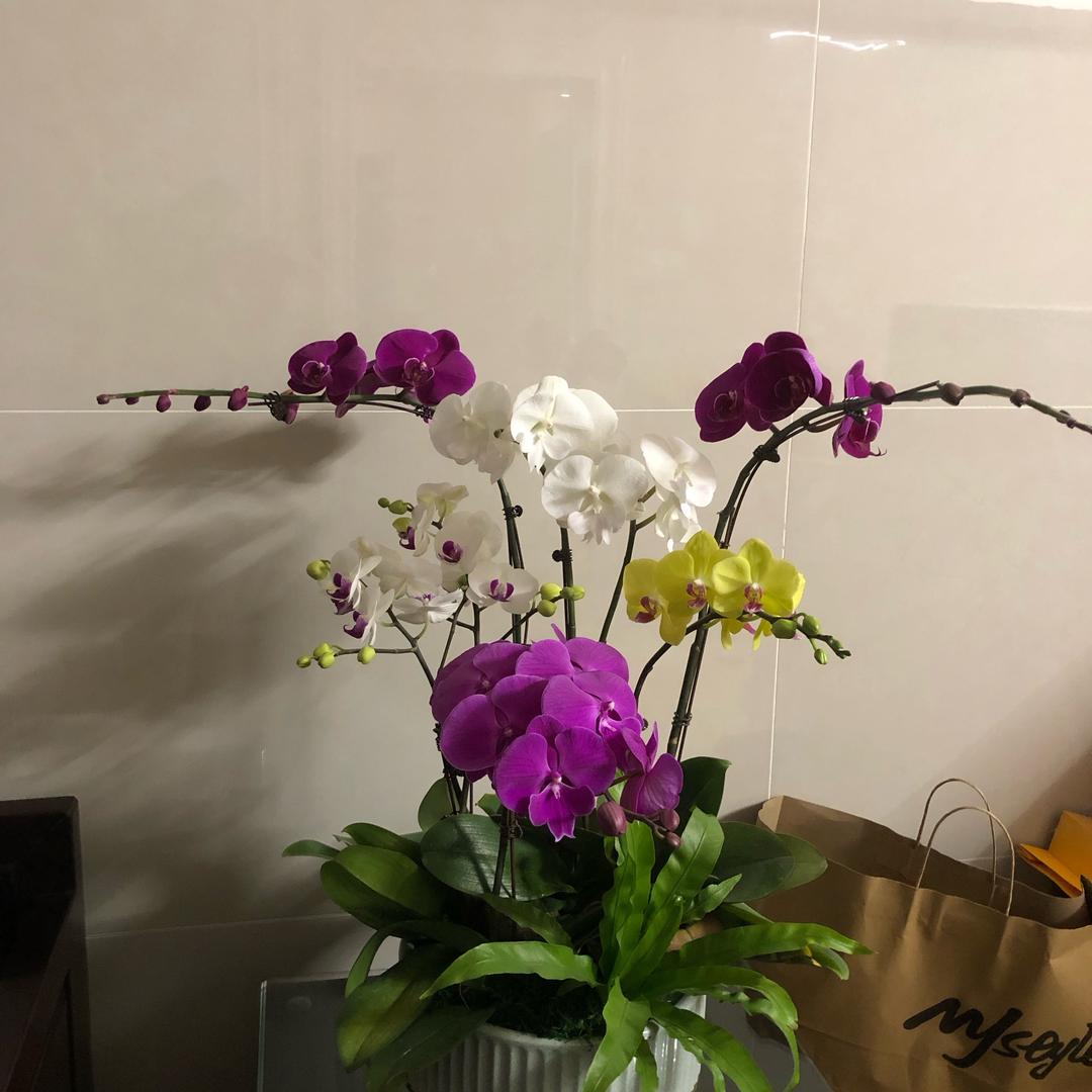 开心一下💕