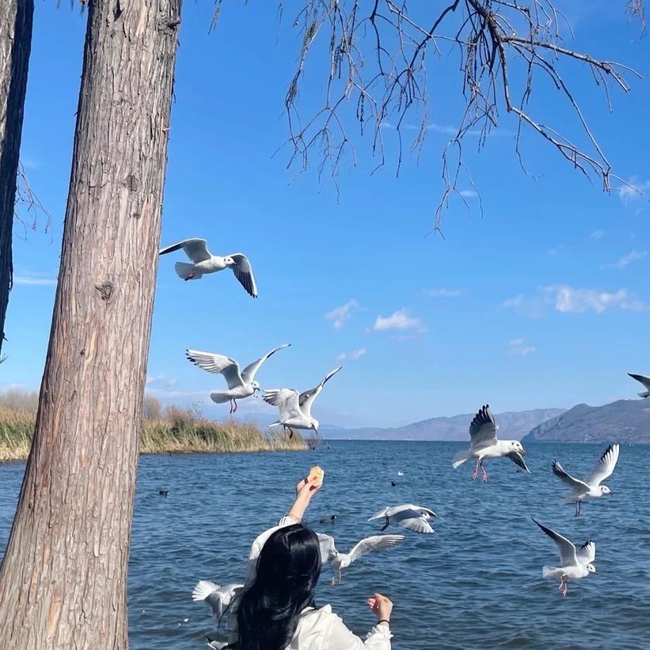 云南旅行攻略分享