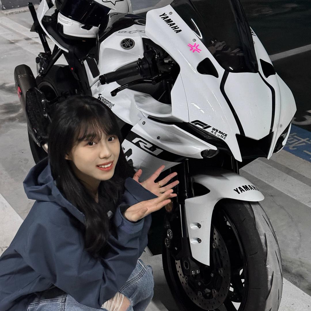 知更