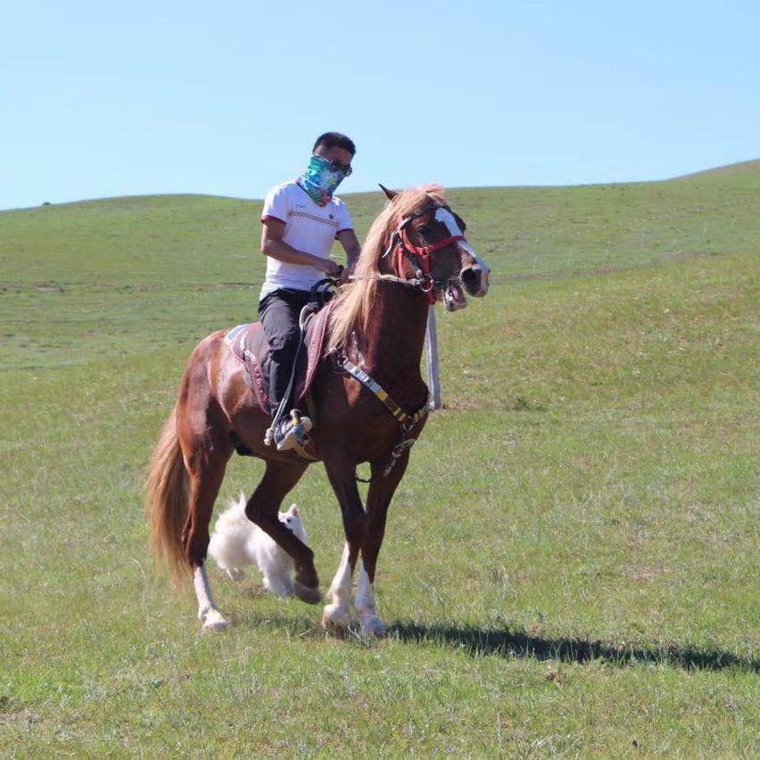 山东御腾马术队、王 小 孬（招学徒）