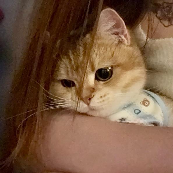 李久久📷