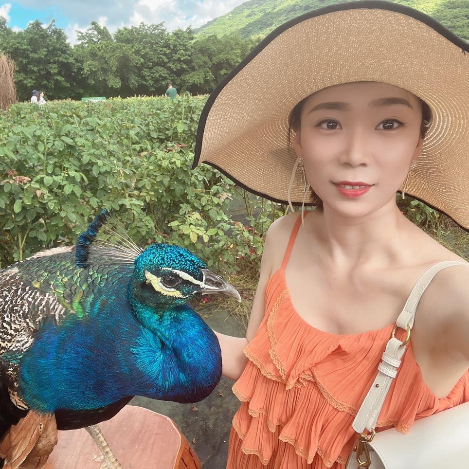 林妹妹哟_
