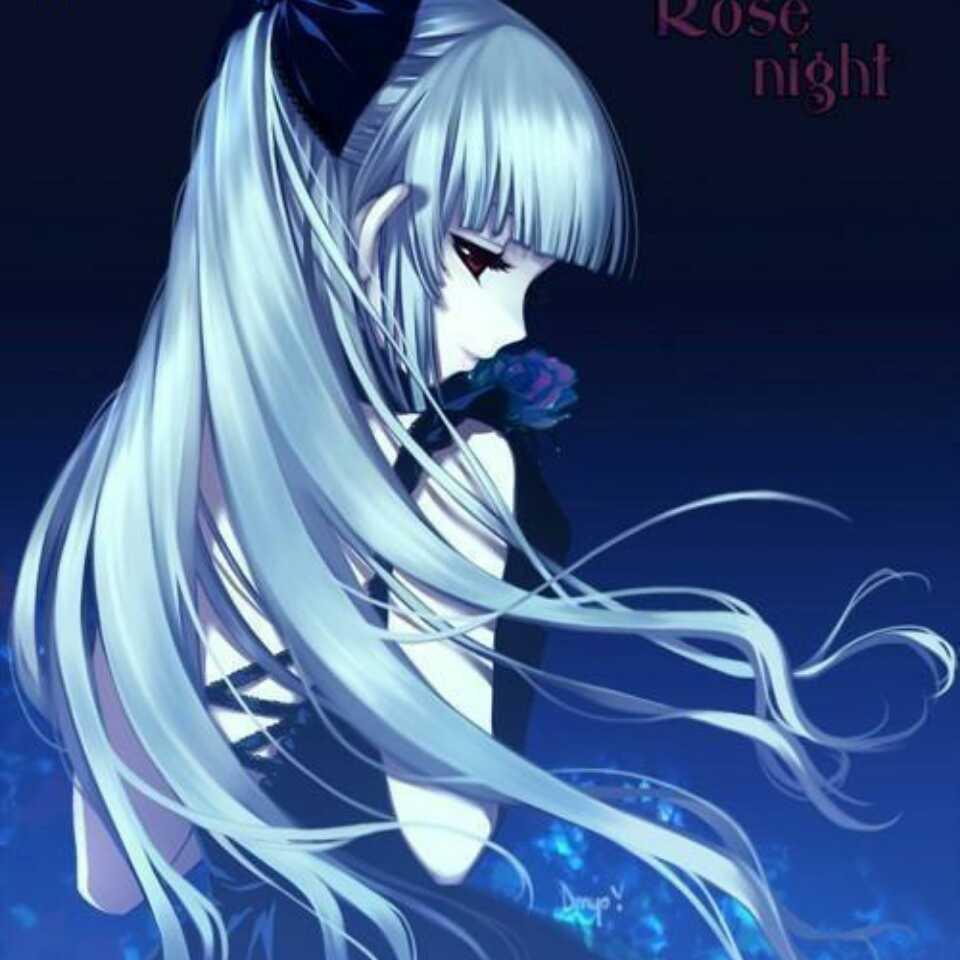 冰菊