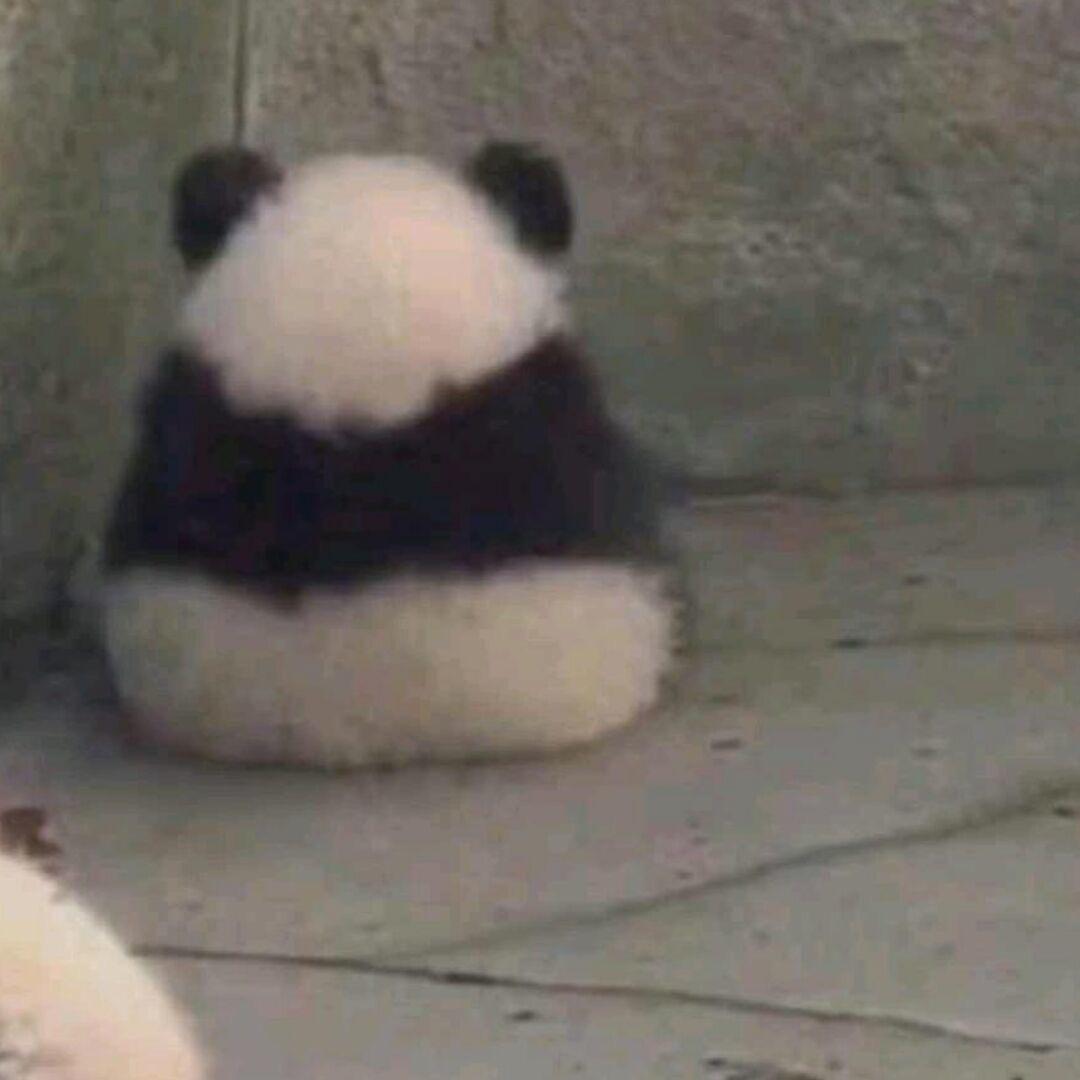 ▼