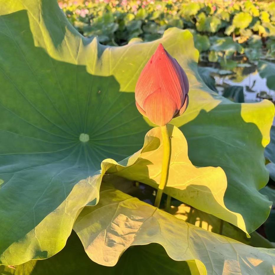 满福香烛折纸百货店