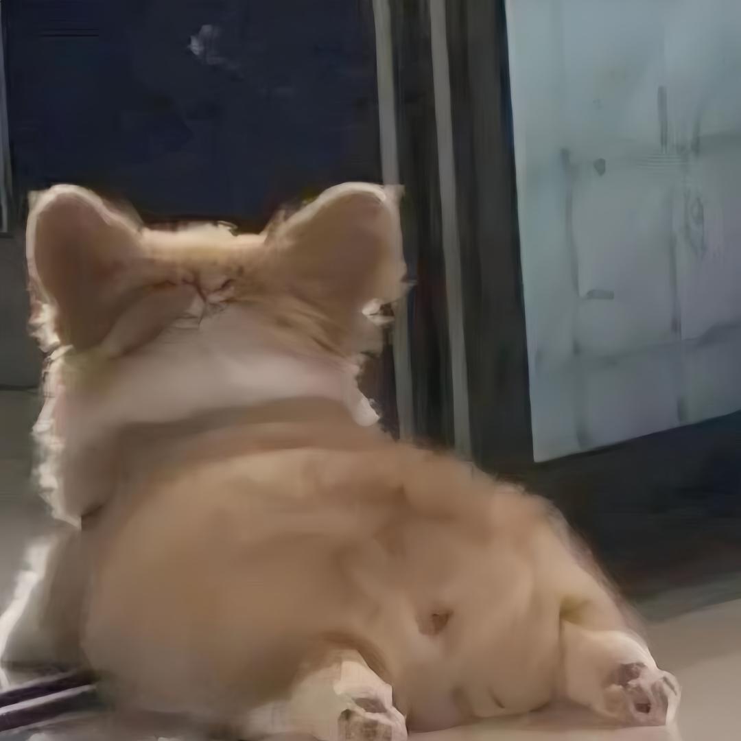 Y