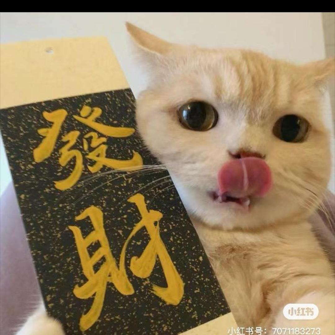 阳仔哟8