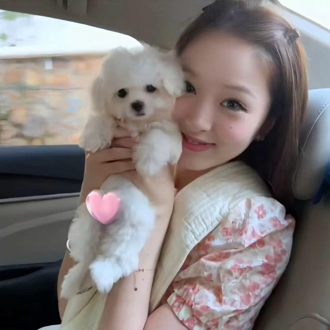 杨什么杨