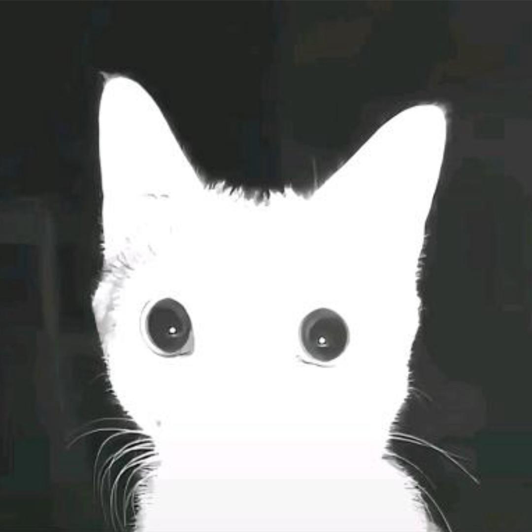 夸夸世界第一