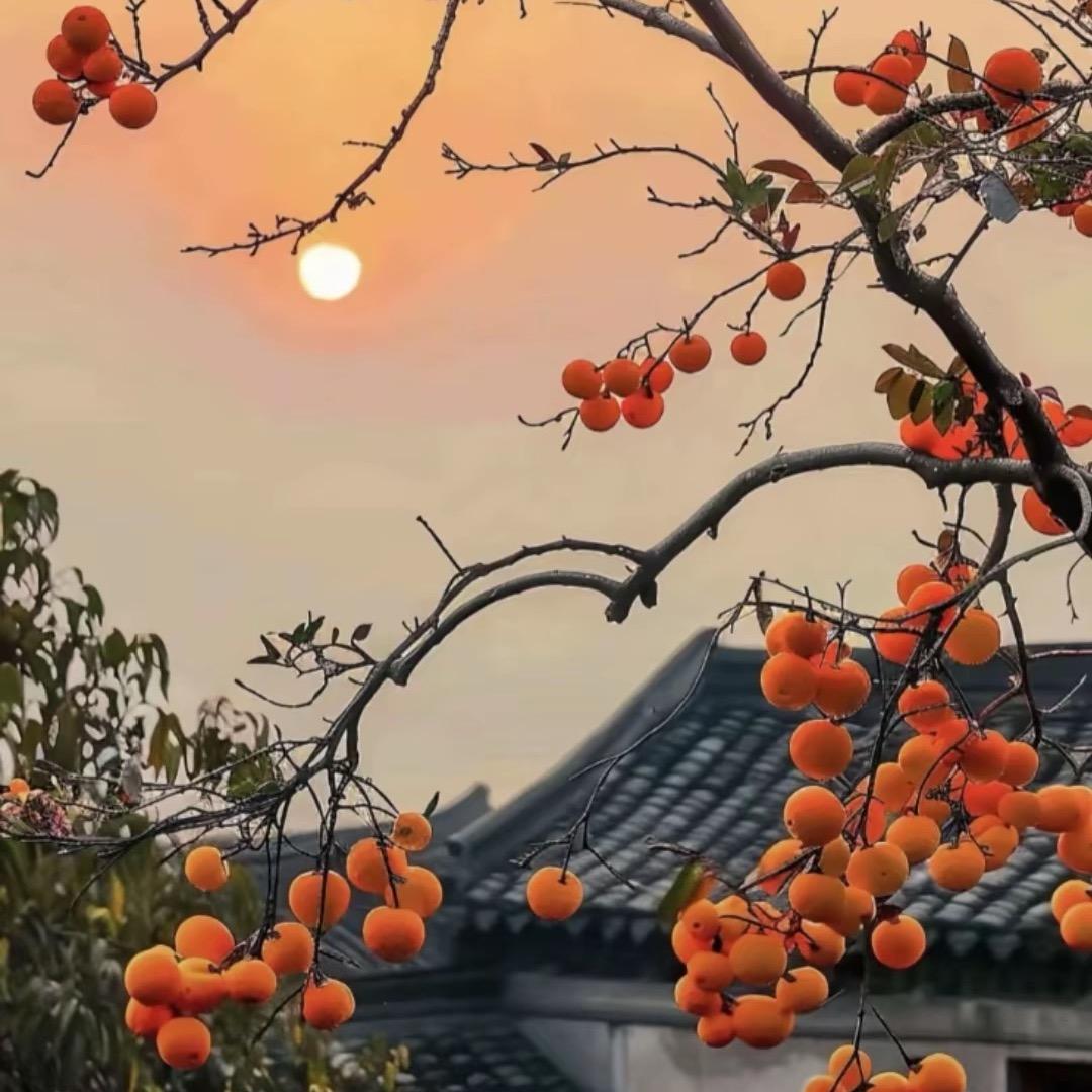 简单的幸福