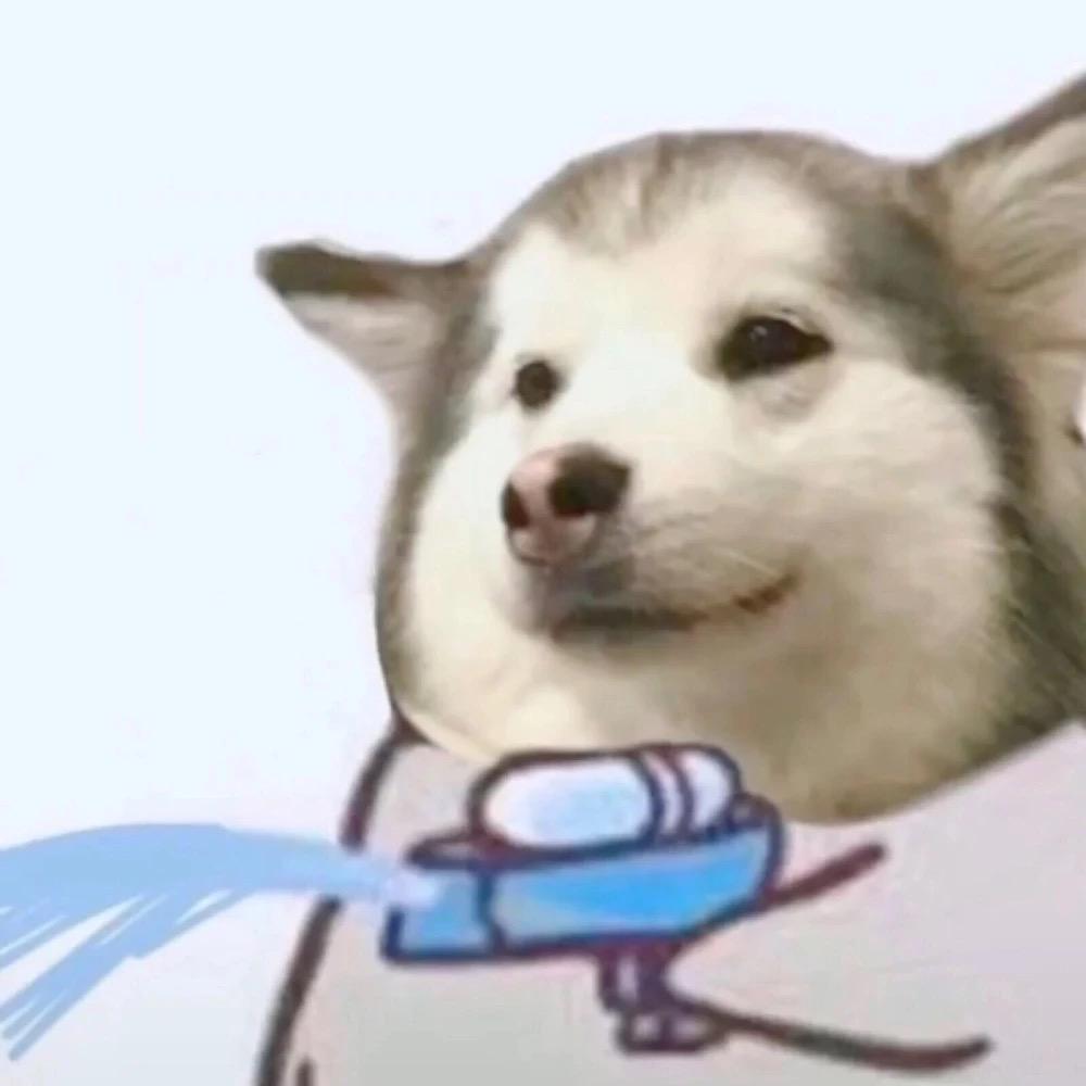 什么东南西北风