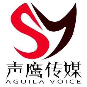 声鹰配音—宣传片专题配音