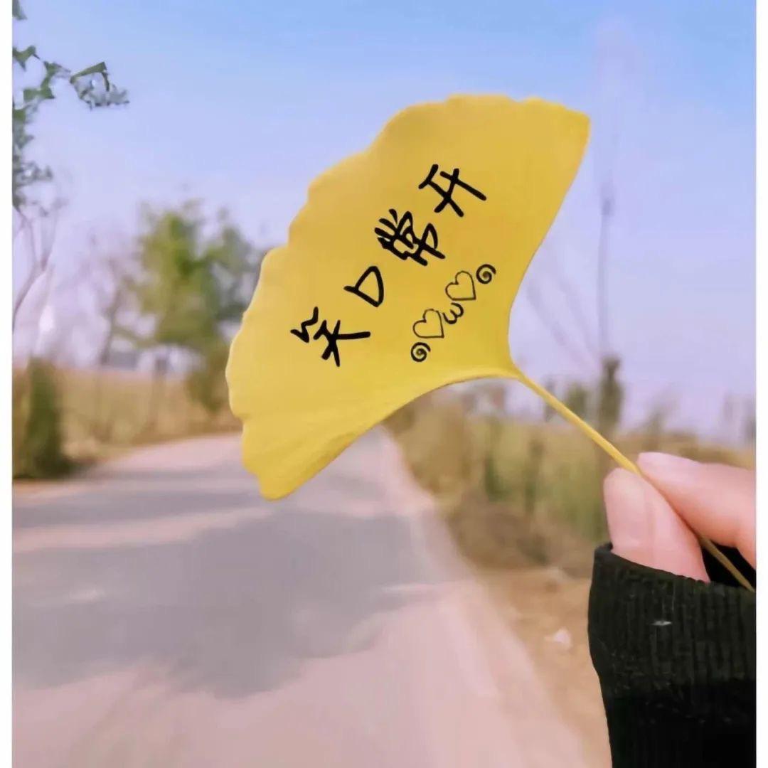 🍋柠檬果香