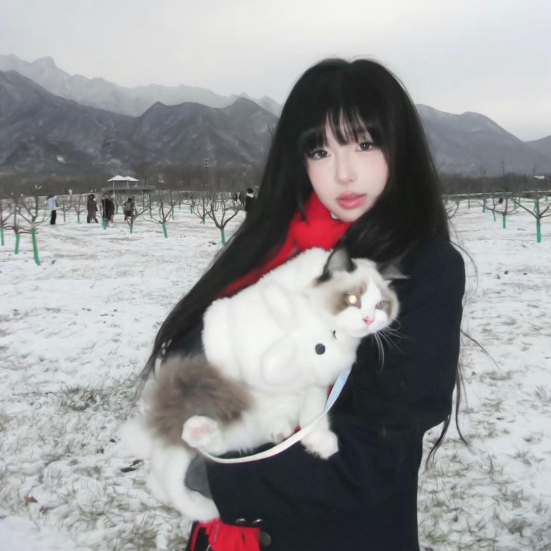 数羊数到羊灭绝