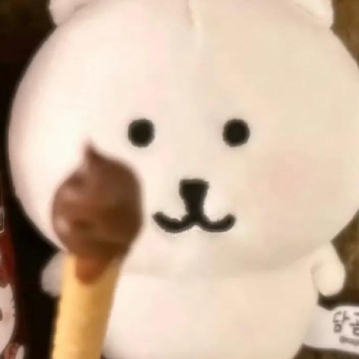 天空下起猫猫雨