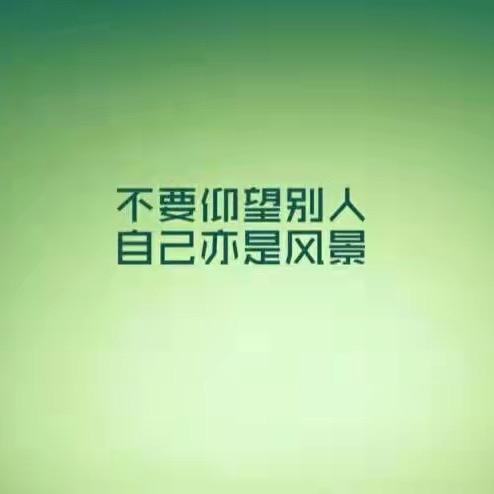 小八玉313