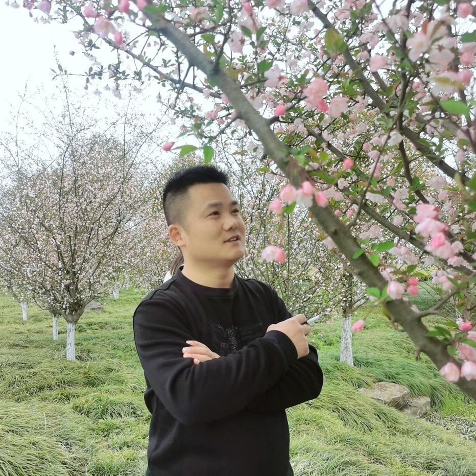 Wang.Mark 王