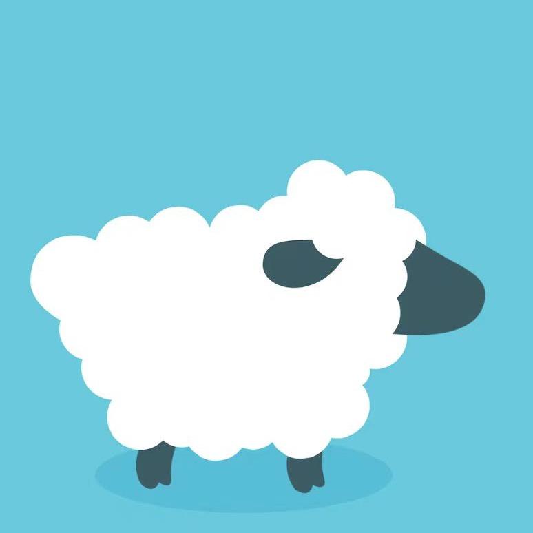 杨杨羊的小毛毛