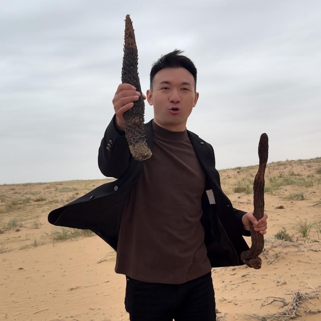 小宇哥寻特产（第九站阿拉善）