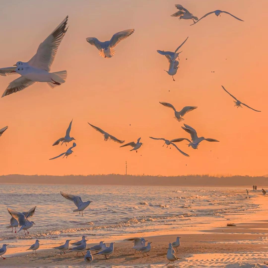 开开好物推荐(好品质)