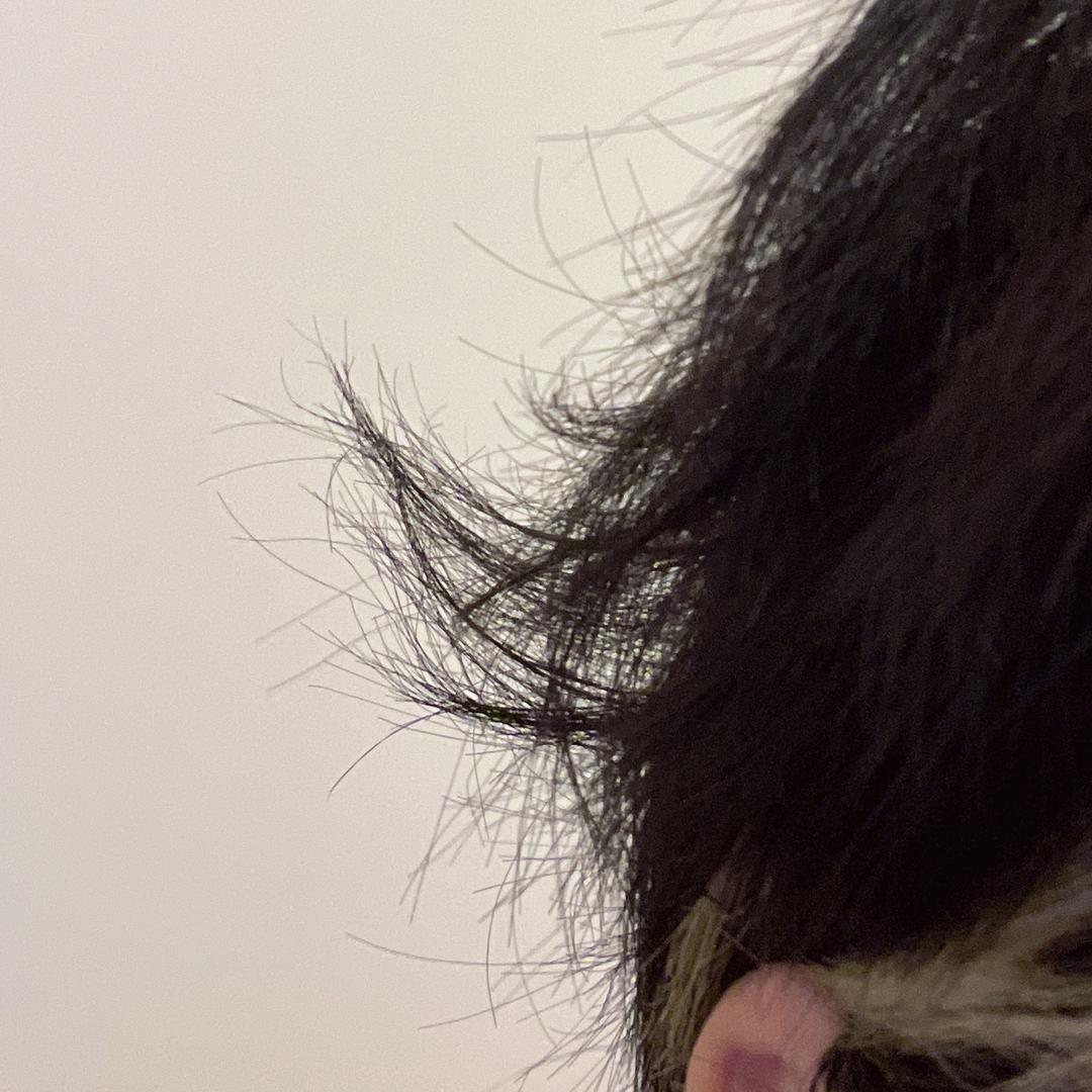 陈慢慢慢哉