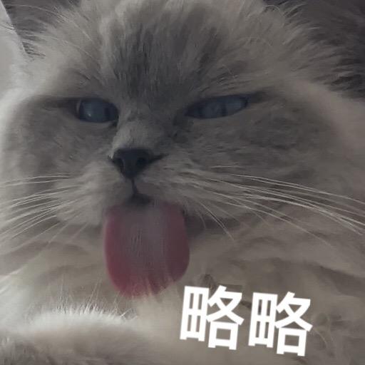 昕