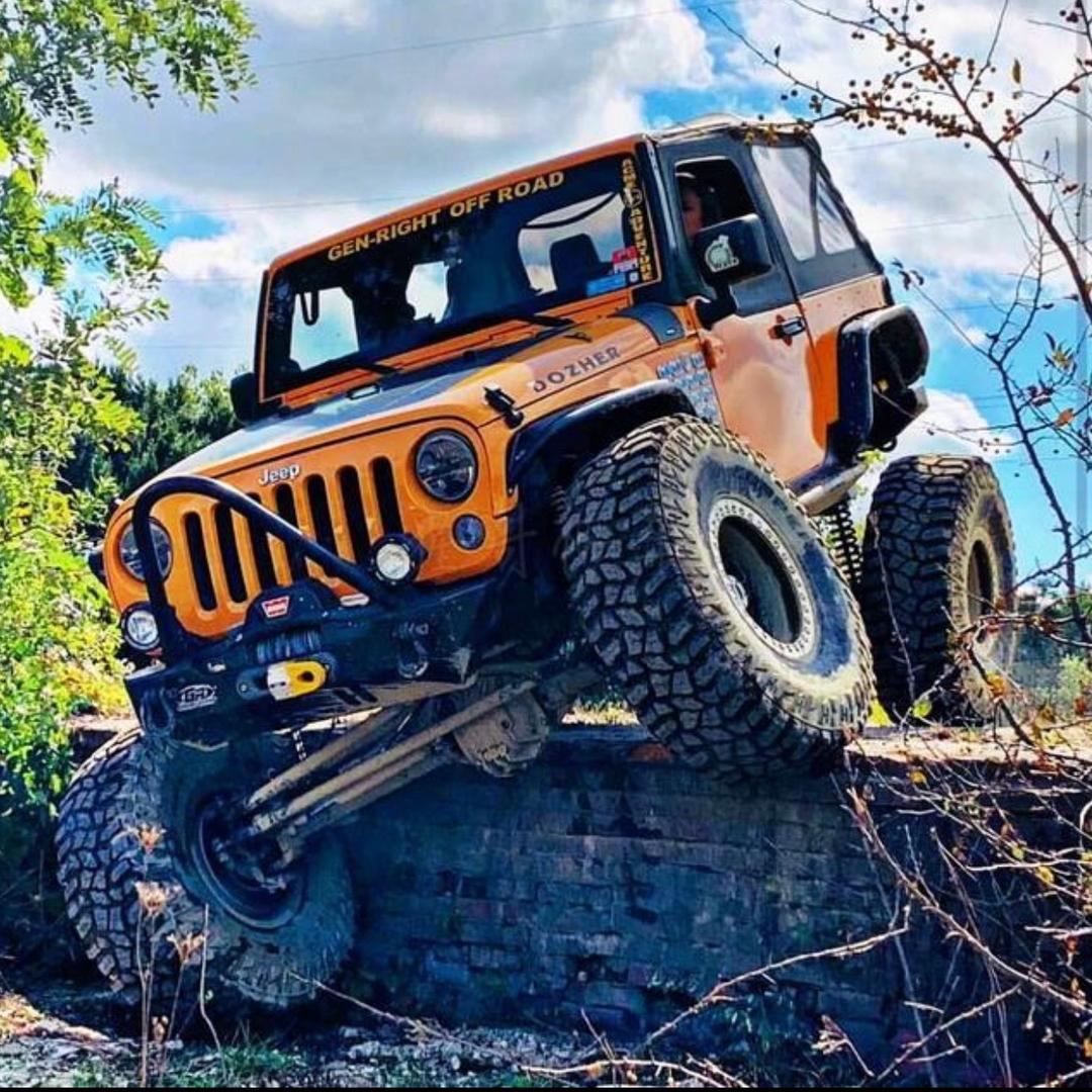 猫头鹰露营分享