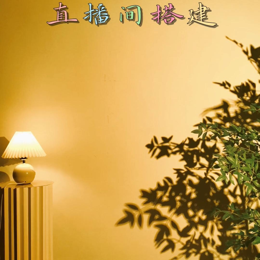 炎彩（直播灯光）