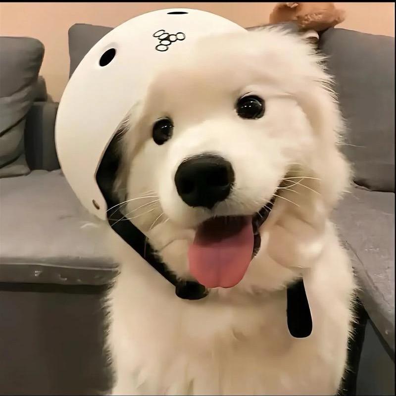 十五（三角洲行动）