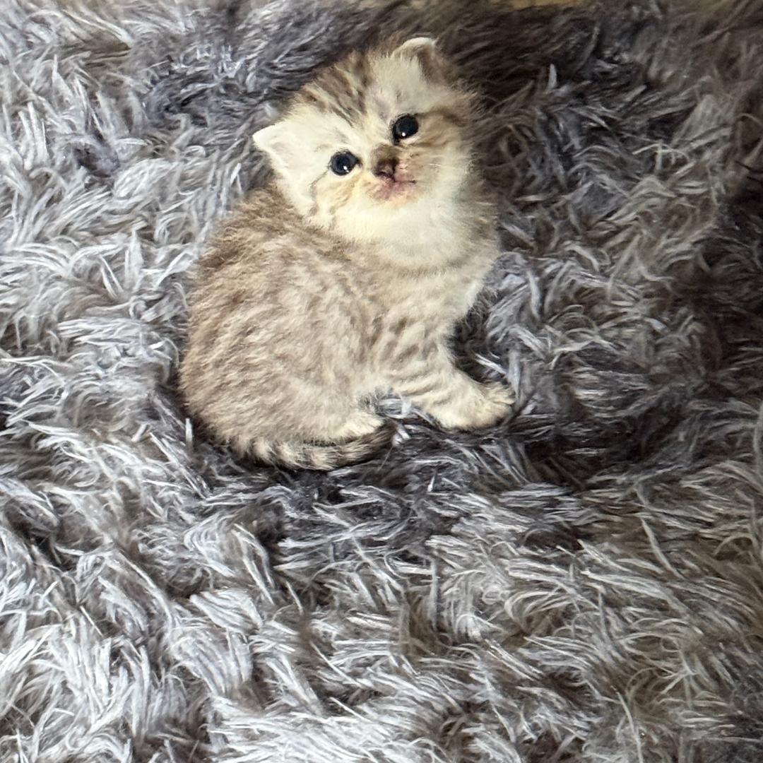 痛😭太痛了😭