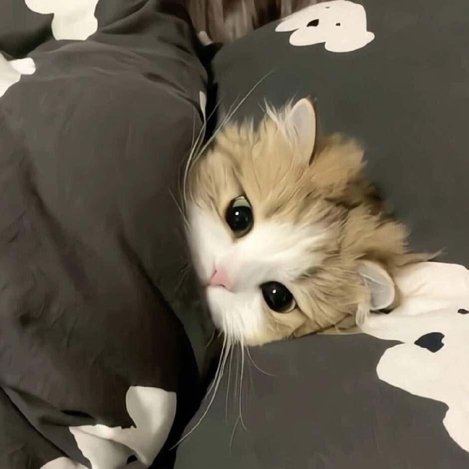 阿宋.