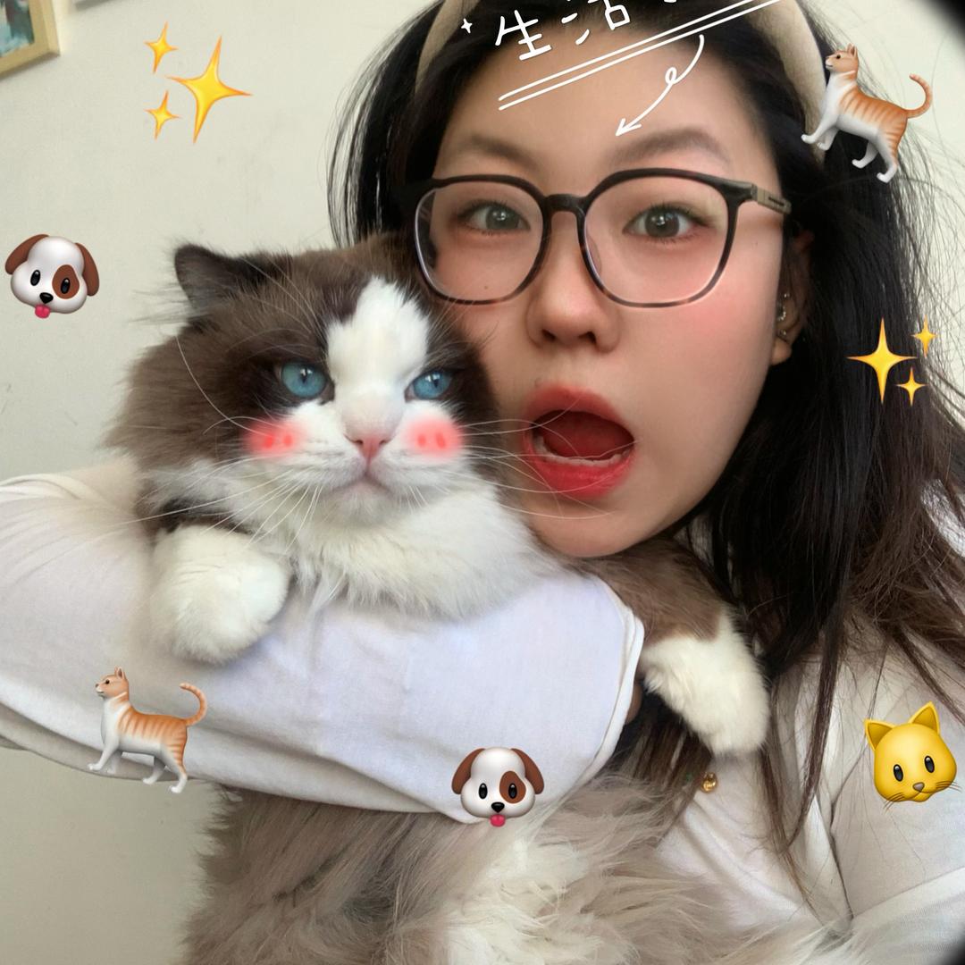 豆包家布偶猫舍