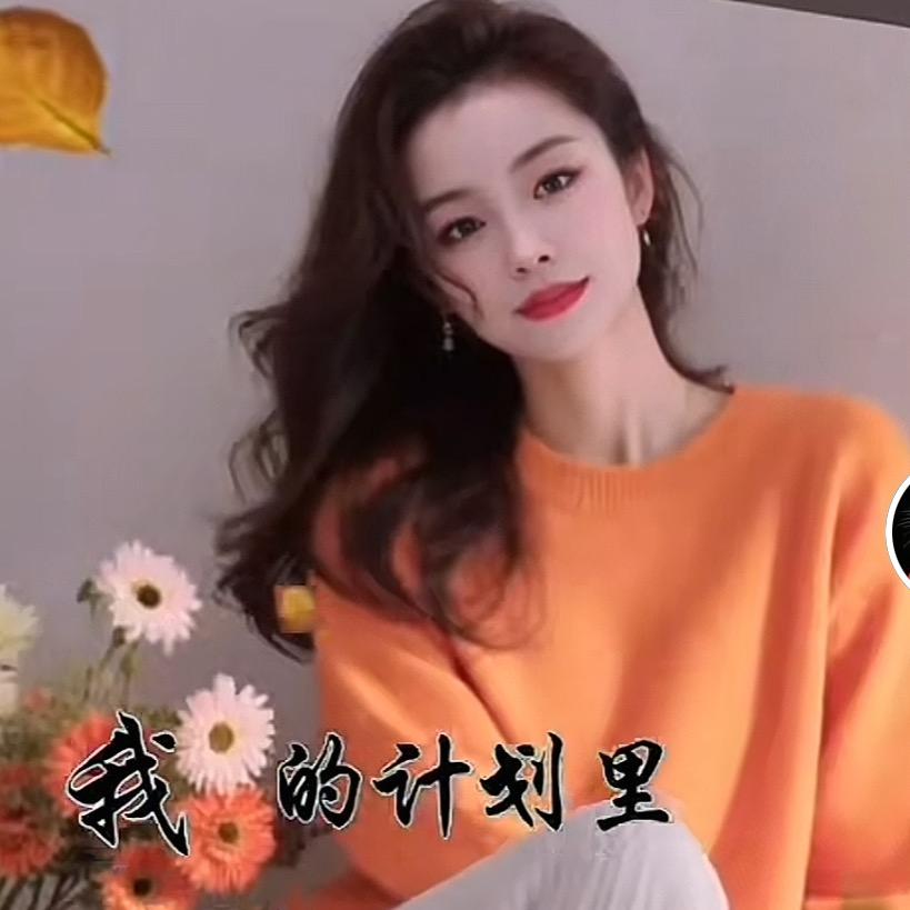 米雪儿