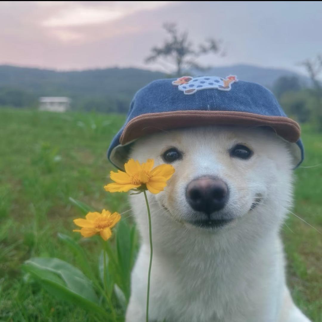 田田的做饭日记