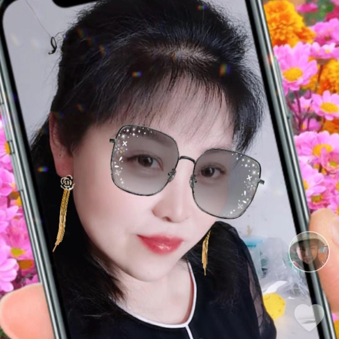凤凰飞