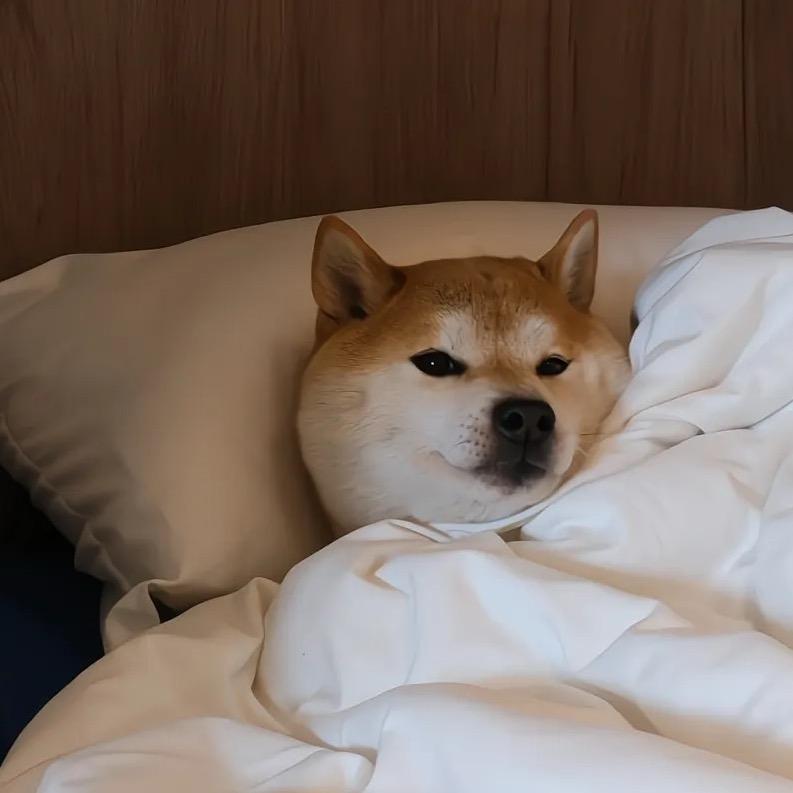 不爱吃秦菜
