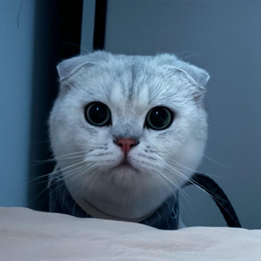 21g