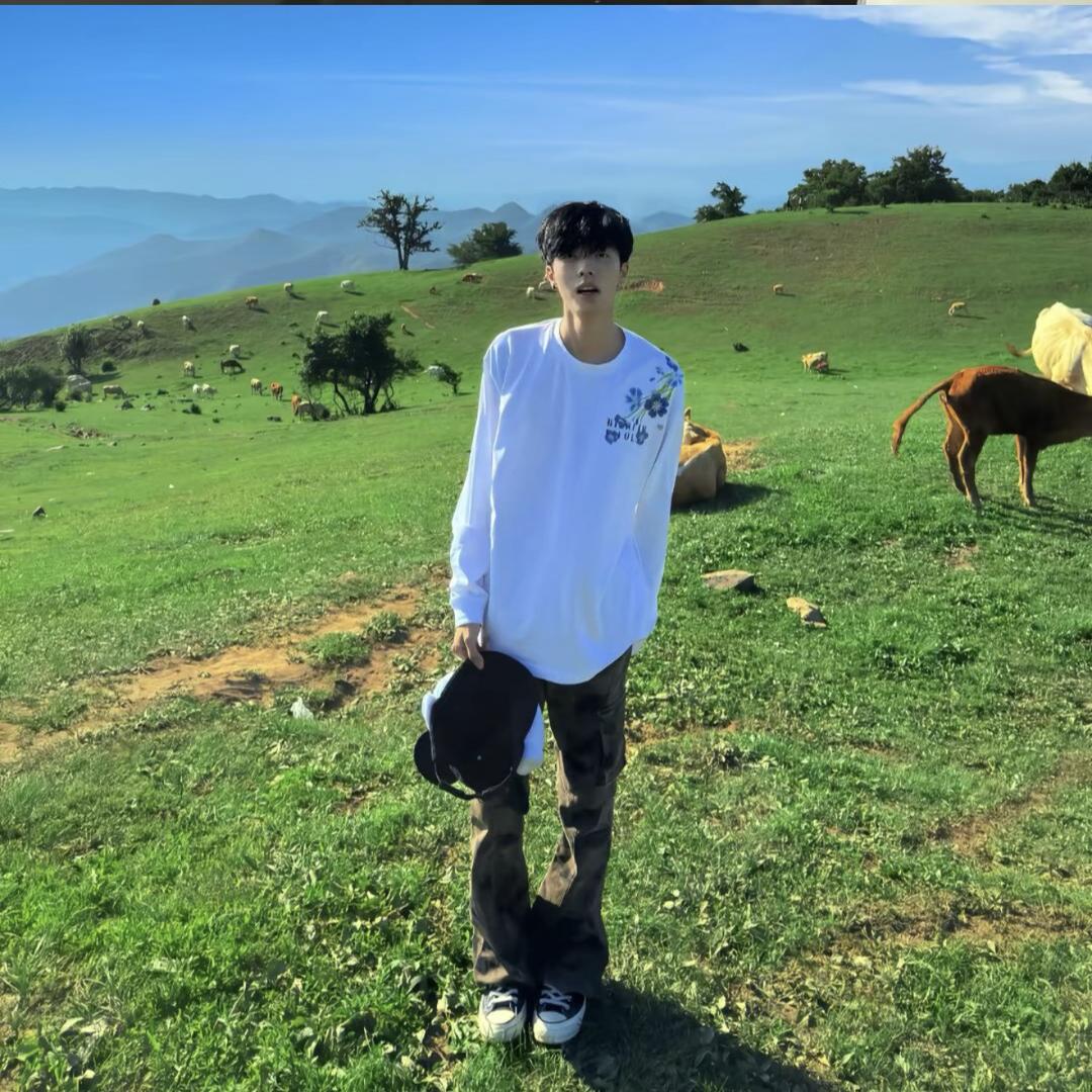 早起睡醒先偷一只猪