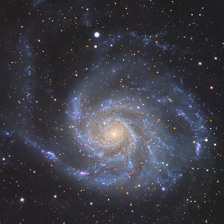 星栎霓岚