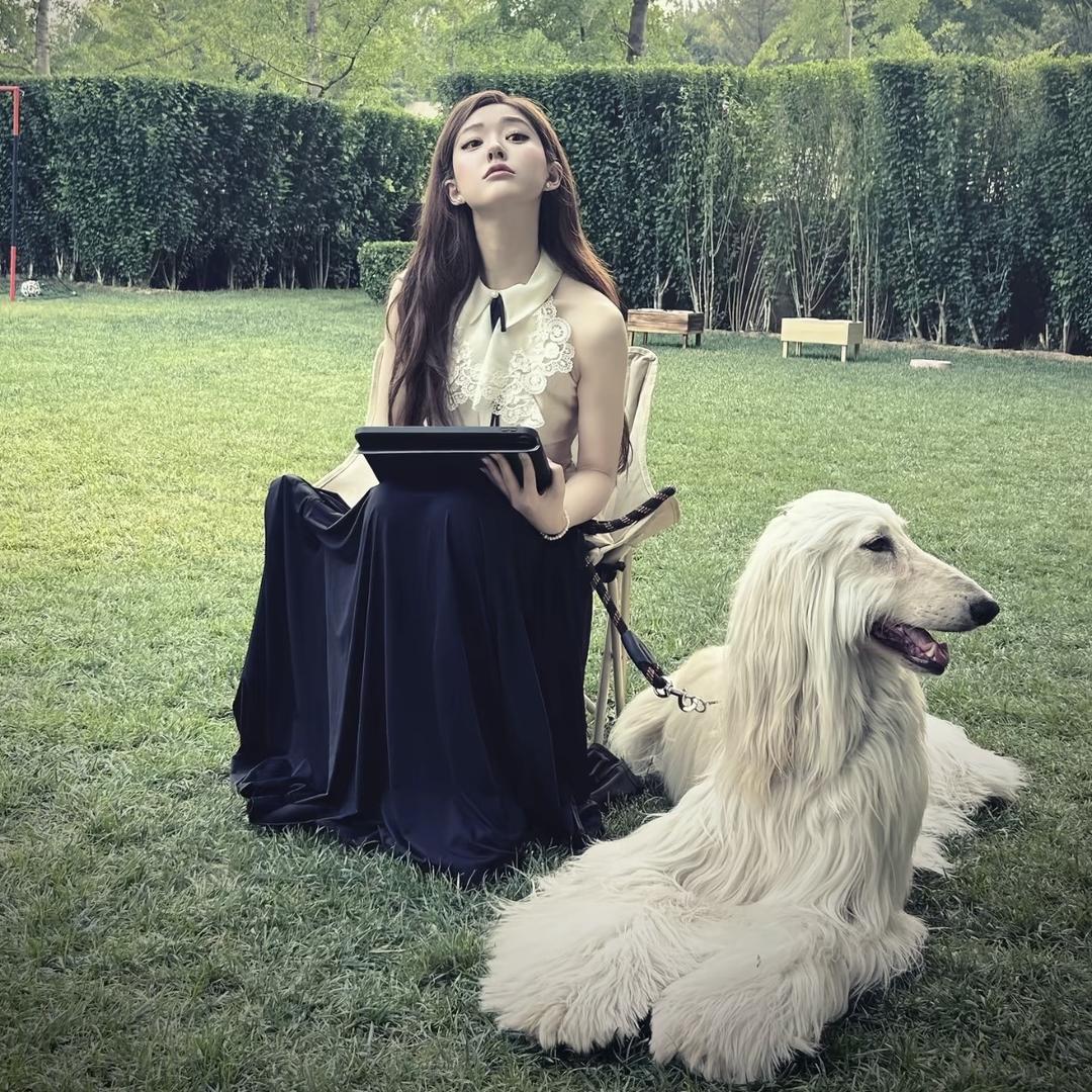 去码头整点薯条🍟