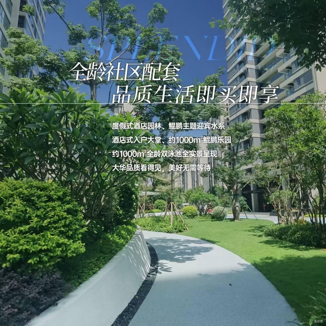 海南虎哥探房