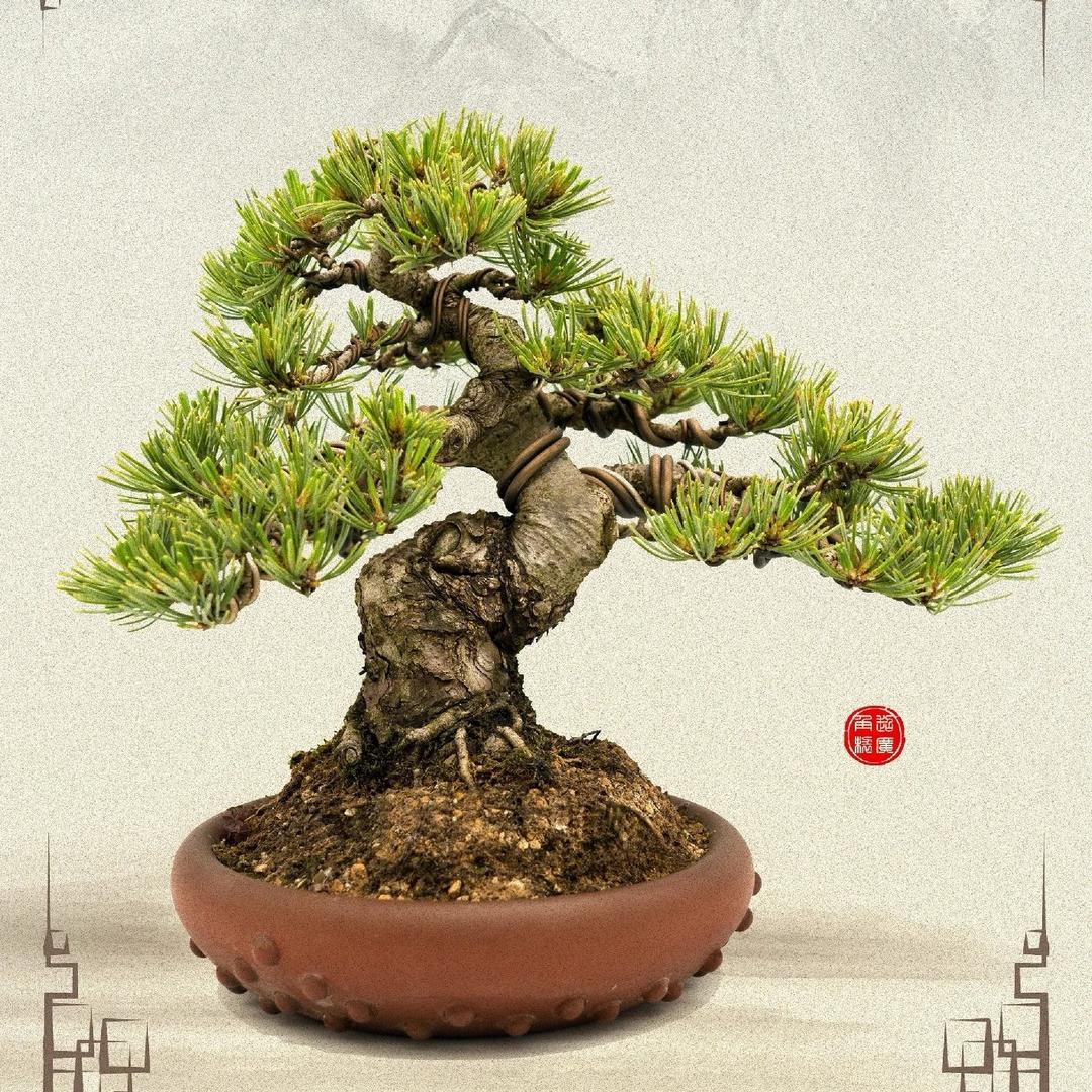 遇珍堂紫砂花盆