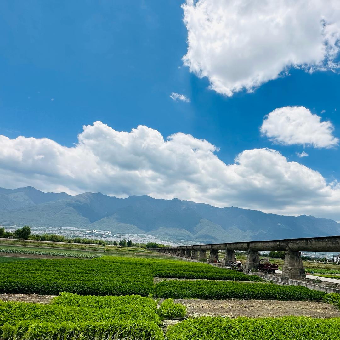 人生若只如初见