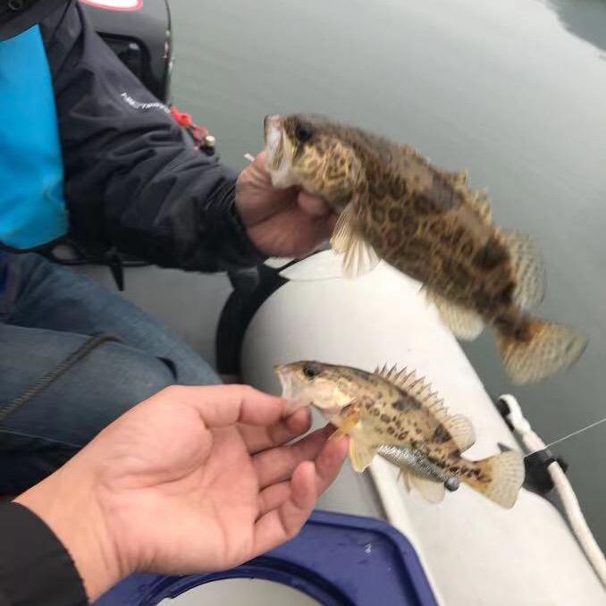 骑驴找马