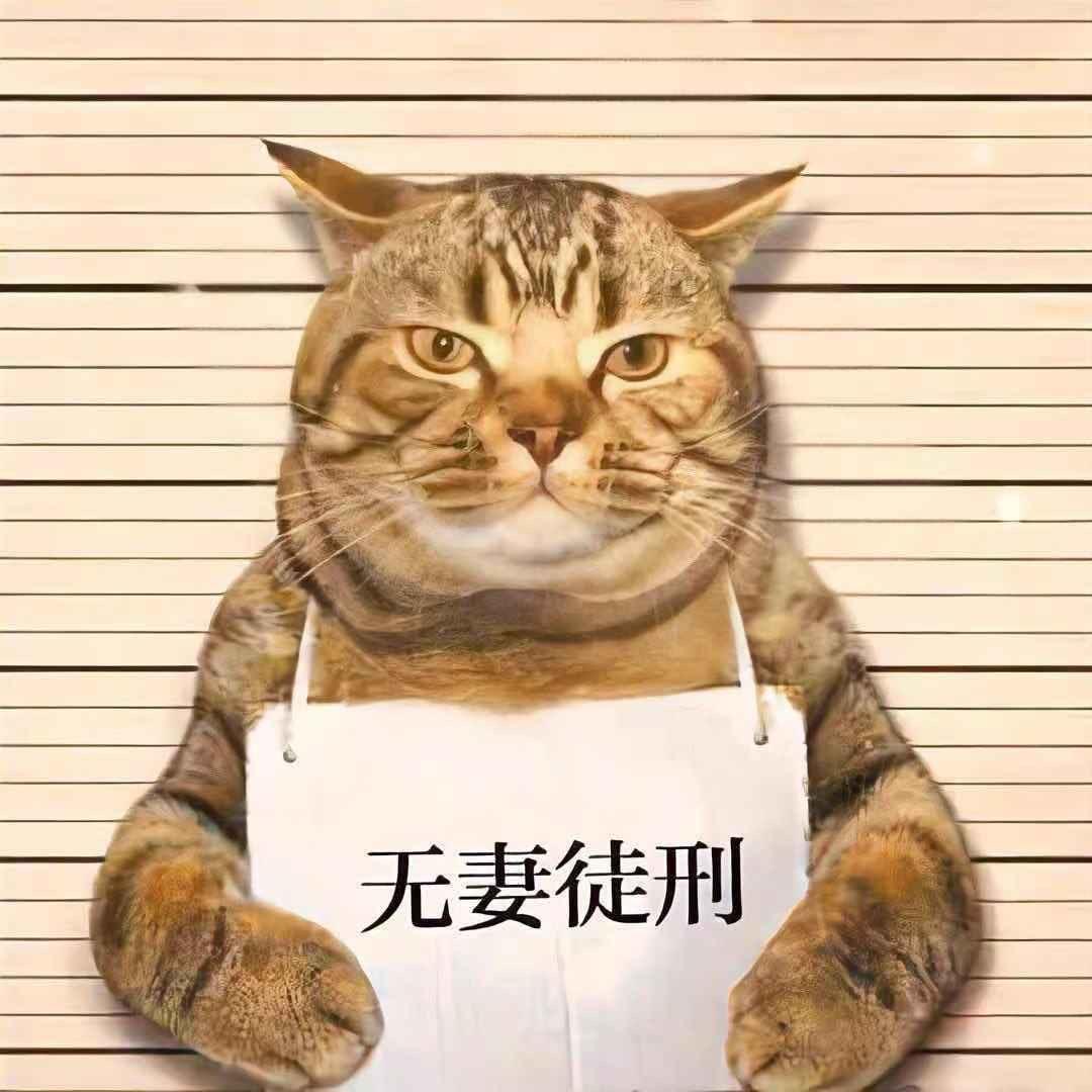 “舔狗”粑粑